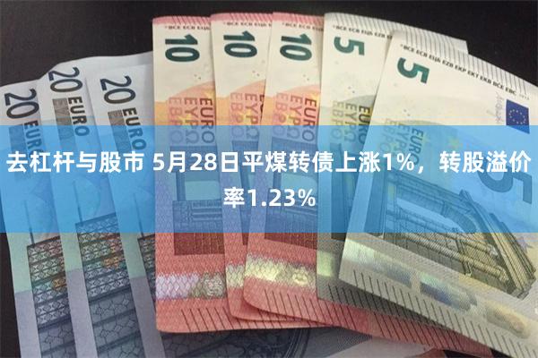 去杠杆与股市 5月28日平煤转债上涨1%，转股溢价率1.23%