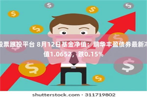 股票跟投平台 8月12日基金净值：鹏华丰盈债券最新净值1.0652，跌0.15%