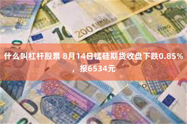 什么叫杠杆股票 8月14日锰硅期货收盘下跌0.85%，报6534元