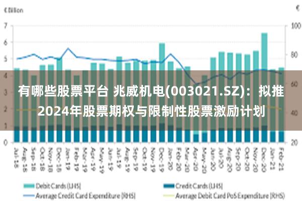 有哪些股票平台 兆威机电(003021.SZ)：拟推2024年股票期权与限制性股票激励计划