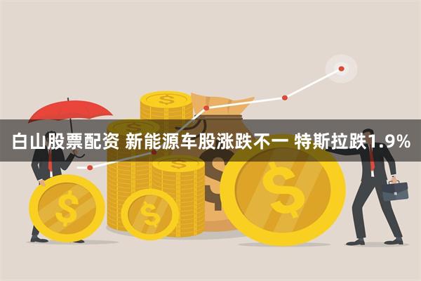 白山股票配资 新能源车股涨跌不一 特斯拉跌1.9%